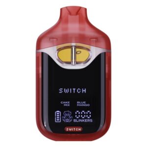 Cake Mix & Blue Mango - Boutiq Swicth V4 THCA Disposable 2G - Boutiq - DC LLC