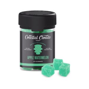 Apple Watermelon - Coastal Clouds Gummies - Coastal Clouds - DC LLC