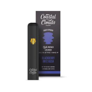 Blackberry Rntz Kush - Coastal Clouds Disposable - Coastal Clouds - DC LLC