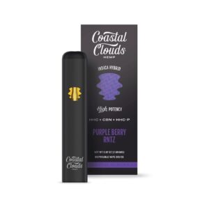 Purple Berry Rntz - Coastal Clouds Disposable - Coastal Clouds - DC LLC