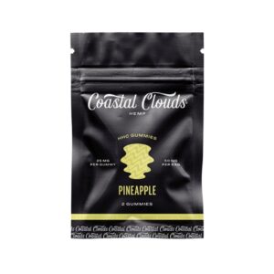 Pineapple - Coastal Clouds (2 Count) Gummies - Coastal Clouds - DC LLC