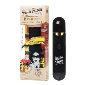 Tangie - Mellow Fellow Basquiat's Motivation Disposable 2mL - Mellow Fellow - DC LLC