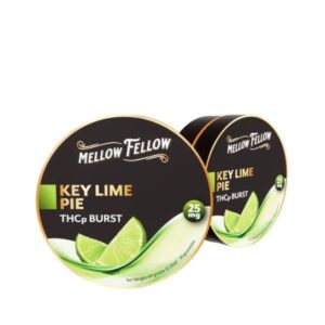 Key Lime Pie - Mellow Fellow THC - P Burst Gummies 250MG - Mellow Fellow - DC LLC