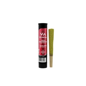 Garlotti - Venera Moonrock Pre - Rolls - Venera - DC LLC