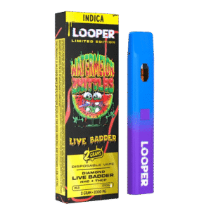 Watermelon Zkittles - Looper Live Badder Disposable - Looper - DC LLC
